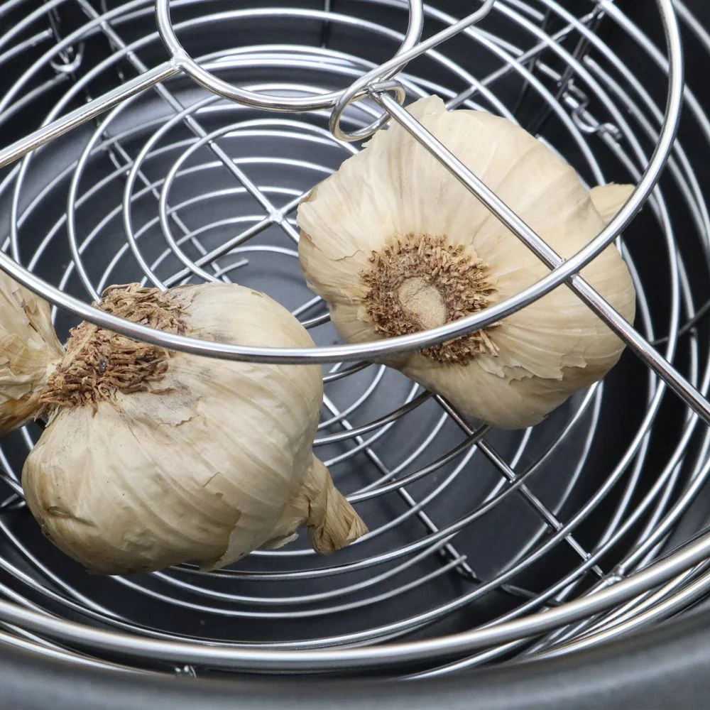 Black Garlic Multi-Purpose Fermenter - Image 7