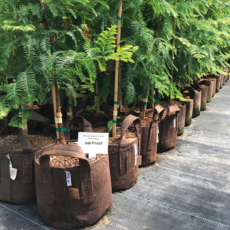 Brown Fabric Planter with Handles - 5 Pack - Image 6