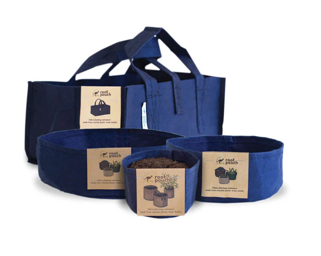 Fabric Planter Succulent Kit - Image 3