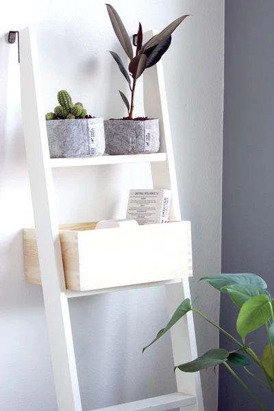 Fabric Planter Succulent Kit - Image 7