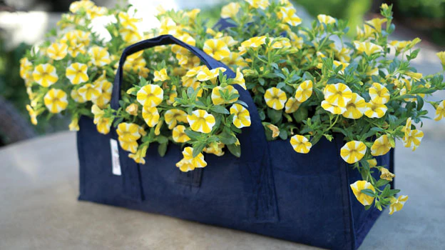 Fabric Planter Succulent Kit - Image 8