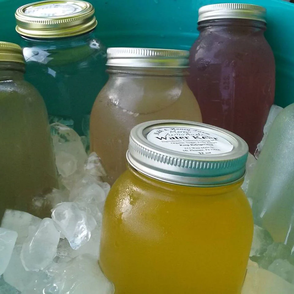 Water Kefir Basic Starter Set - Image 3